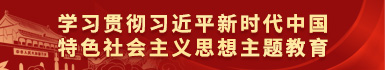 學(xué)習貫徹習近平新(xīn)時代中國(guó)特色社會主義思想主題教育